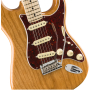 FENDER AMERICAN PROFESSIONAL LIMITED EDITION STRATOCASTER MN AGN Електрогітара