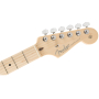 FENDER AMERICAN PROFESSIONAL LIMITED EDITION STRATOCASTER MN AGN Електрогітара