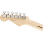 FENDER AMERICAN PROFESSIONAL LIMITED EDITION STRATOCASTER MN AGN Електрогітара