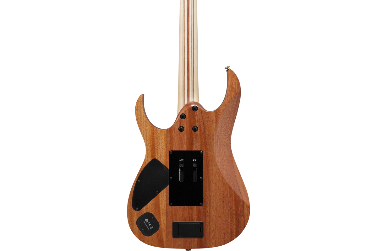 IBANEZ RG6PKAG-NTF Електрогітара