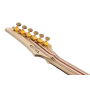IBANEZ RG6PKAG-NTF Електрогітара