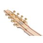 IBANEZ RG80F-IPT Електрогітара