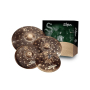 Набор тарелок ZILDJIAN S FAMILY DARK CYMBAL PACK