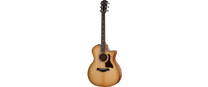 TAYLOR GUITARS 514CE Гитара электроакустическая