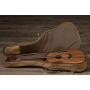 TAYLOR GUITARS ACADEMY 20E Гітара електроакустична