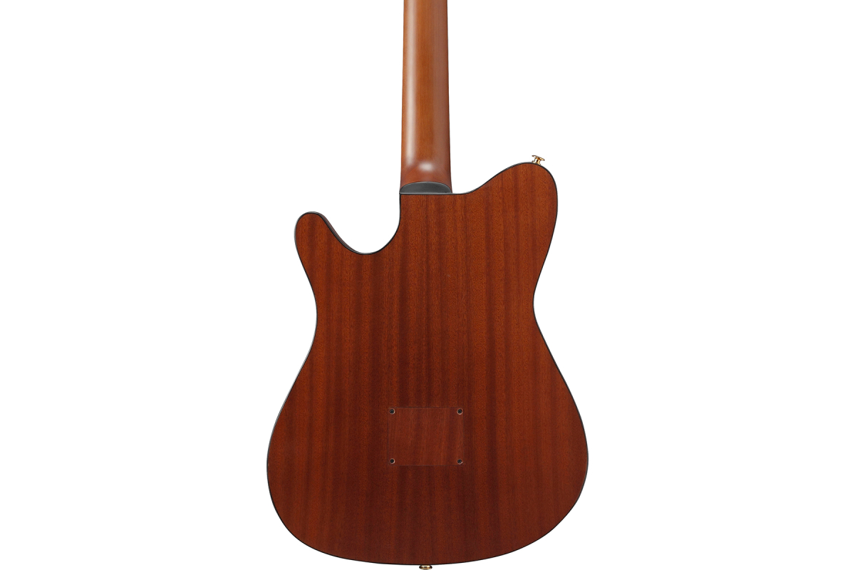 IBANEZ FRH10N-BSF Гітара класична