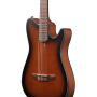 IBANEZ FRH10N-BSF Гітара класична
