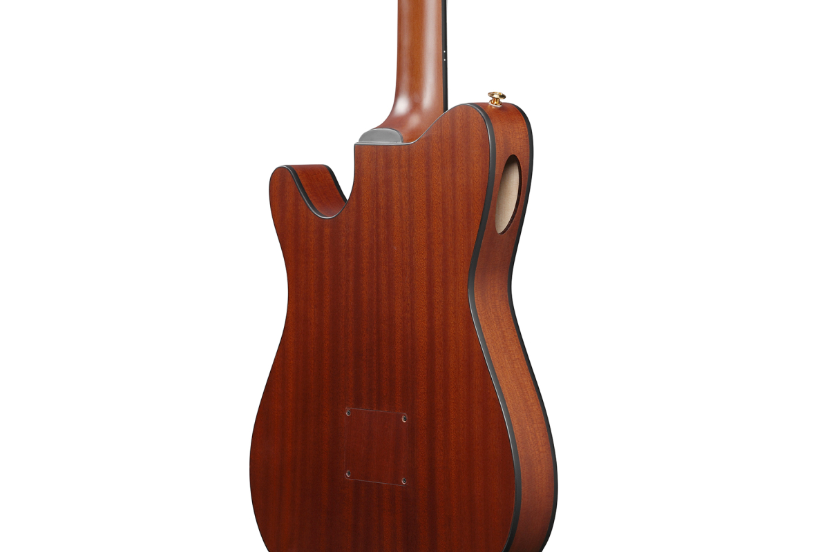 IBANEZ FRH10N-BSF Гітара класична