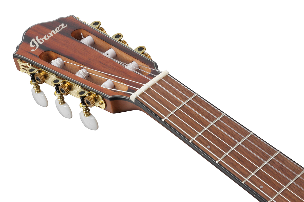 IBANEZ FRH10N-BSF Гітара класична