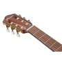 IBANEZ FRH10N-BSF Гітара класична