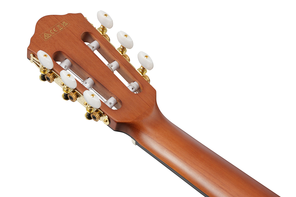 IBANEZ FRH10N-BSF Гітара класична