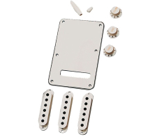 Набор аксессуаров для электрогитары FENDER STRATOCASTER ACCESSORY KITS