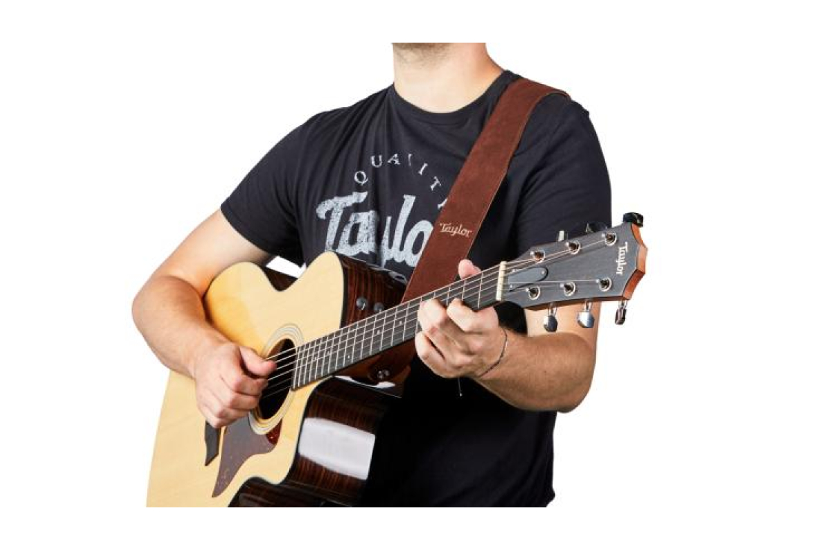 TAYLOR GUITARS STRAP EMBROIDERED SUEDE CHOCOLATE 2.5" Ремень гитарный