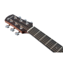 Гитара электроакустическая IBANEZ AAD50CE-TCB