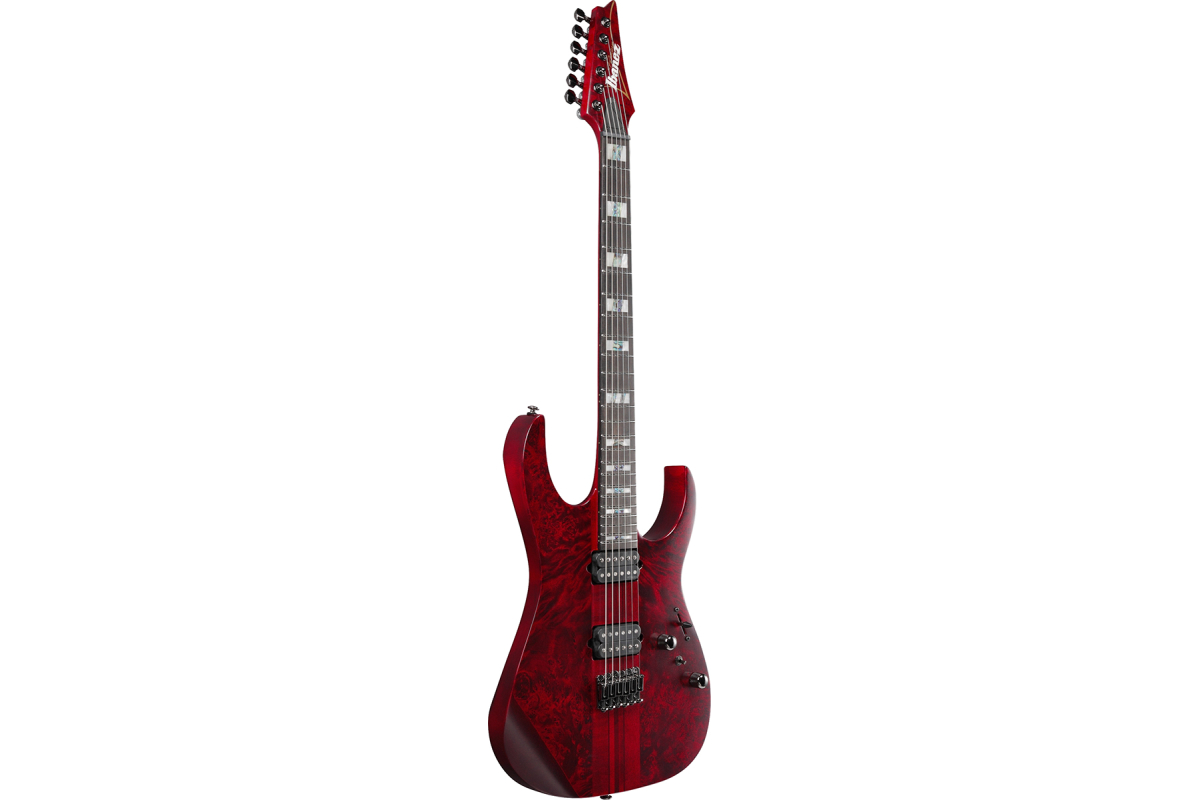 Электрогитара IBANEZ RGT1221PB SWL