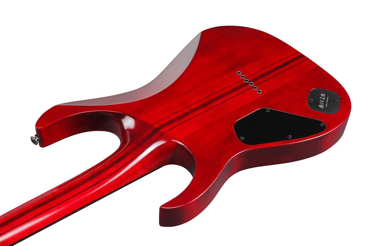 Электрогитара IBANEZ RGT1221PB SWL