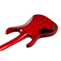 Электрогитара IBANEZ RGT1221PB SWL