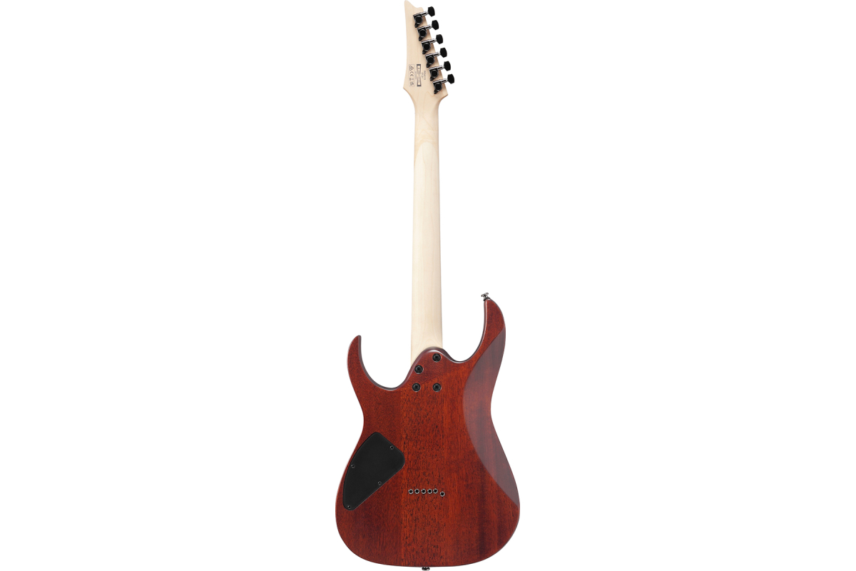 Електрогітара IBANEZ RG421S SEM