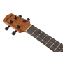 Укулеле IBANEZ AUT10 OPN
