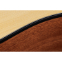 Гітара електроакустична TAYLOR GUITARS 110CE-S