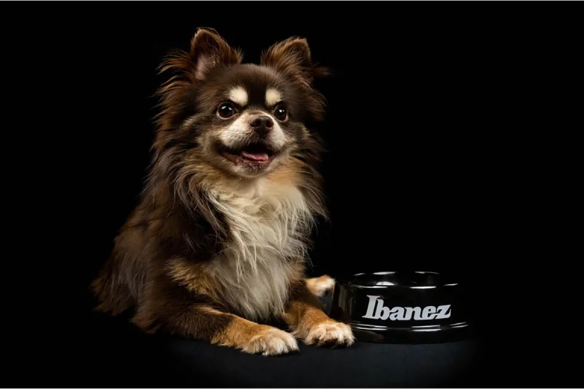 Миска для собак IBANEZ IBWL001 BOWL BLACK