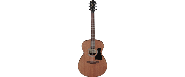 IBANEZ VC44 OPN Гітара акустична