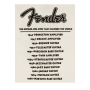Футболка FENDER T-SHIRT WORLD TOUR VINTAGE WHITE M