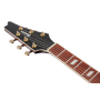 Електрогітара IBANEZ IC420FM VLS
