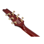Електрогітара IBANEZ IC420FM VLS