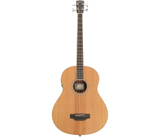 Бас-гітара акустична LARRIVEE B-03-RW-D bass guitar