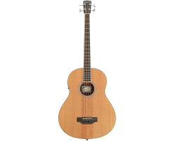 Бас-гітара акустична LARRIVEE B-03-RW-D bass guitar