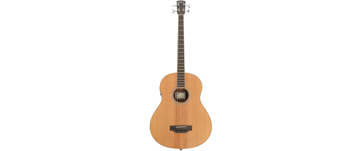 Бас-гітара акустична LARRIVEE B-03-RW-D bass guitar