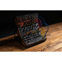 Синтезатор аналогового моделирования MOOG SPECTRAVOX