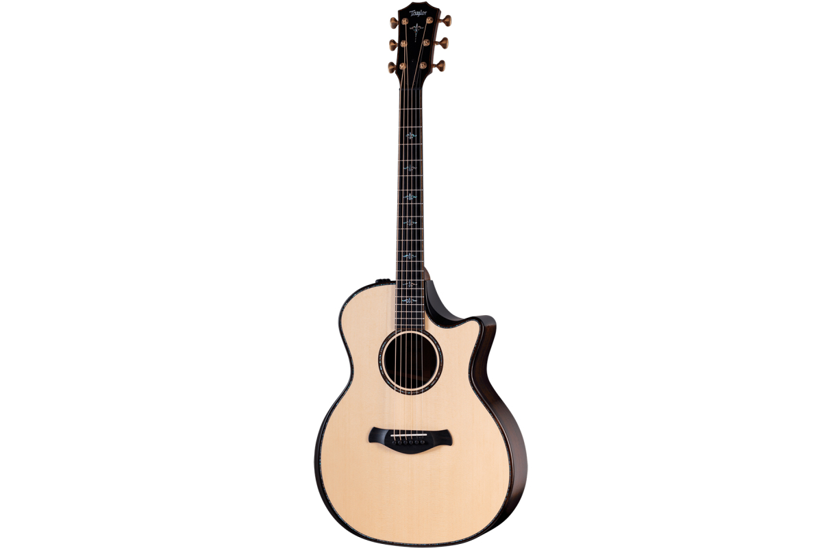 Гітара електроакустична TAYLOR GUITARS 914ce BUILDERS EDITION