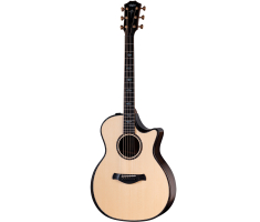 Гітара електроакустична TAYLOR GUITARS 914ce BUILDERS EDITION