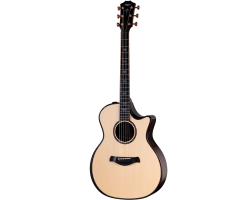Гітара електроакустична TAYLOR GUITARS 914ce BUILDERS EDITION