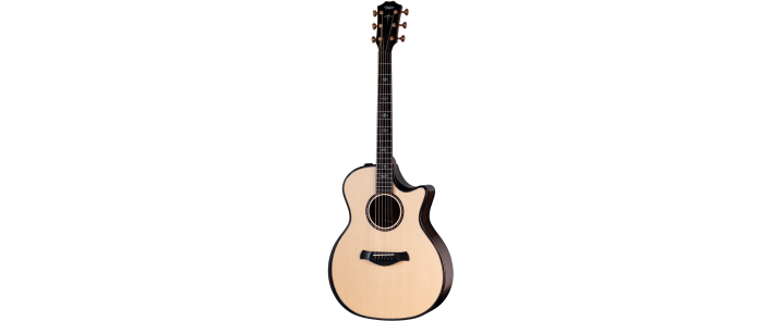 Гітара електроакустична TAYLOR GUITARS 914ce BUILDERS EDITION
