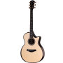Гітара електроакустична TAYLOR GUITARS 914ce BUILDERS EDITION