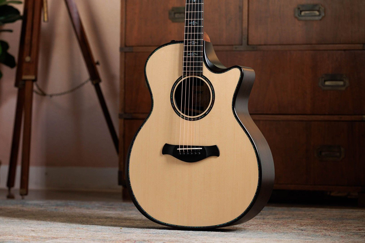 Гітара електроакустична TAYLOR GUITARS 914ce BUILDERS EDITION