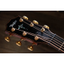 Гітара електроакустична TAYLOR GUITARS 914ce BUILDERS EDITION