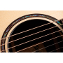 Гітара електроакустична TAYLOR GUITARS 914ce BUILDERS EDITION