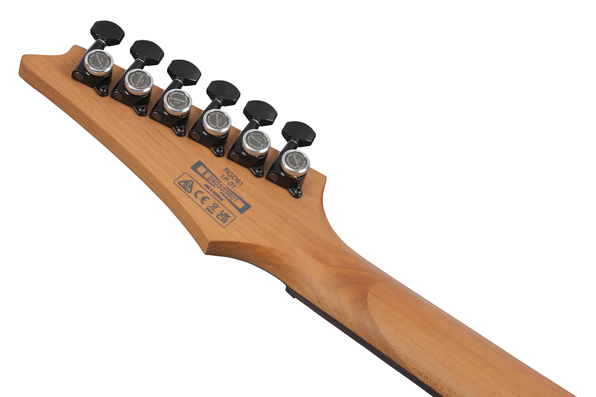 Електрогітара IBANEZ RGD61 BAM