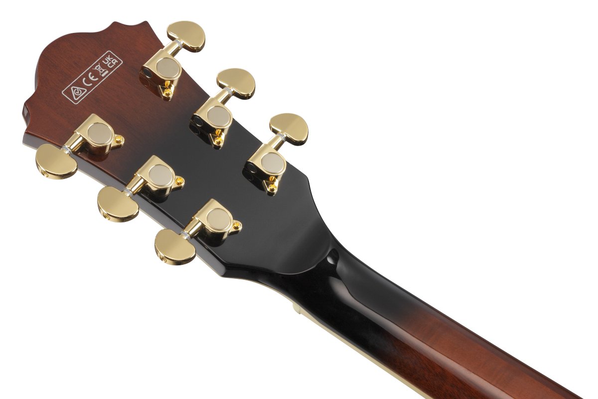 Гитара полуакустическая IBANEZ AS93QMSP DBS