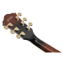 Гитара полуакустическая IBANEZ AS93QMSP DBS
