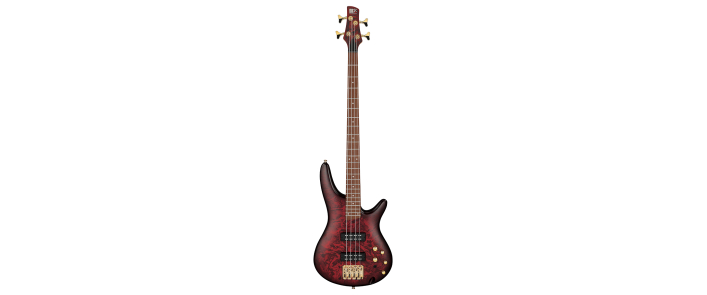 Бас-гітара IBANEZ SR300EDX WZM