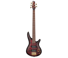Бас-гітара IBANEZ SR305EDX WZM
