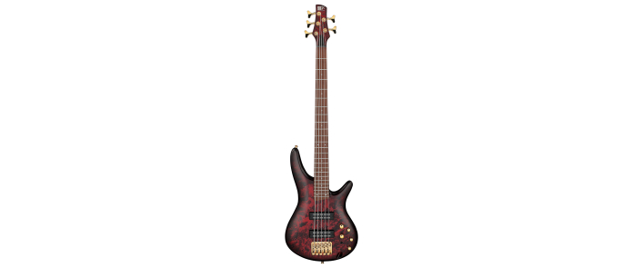 Бас-гітара IBANEZ SR305EDX WZM