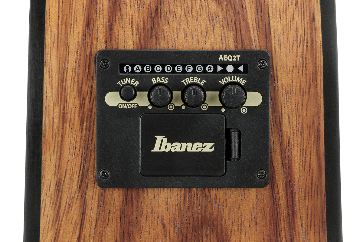 Гітара електроакустична IBANEZ V40WSCE OPB