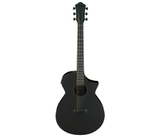 Гітара електроакустична IBANEZ AEWC621 BOT