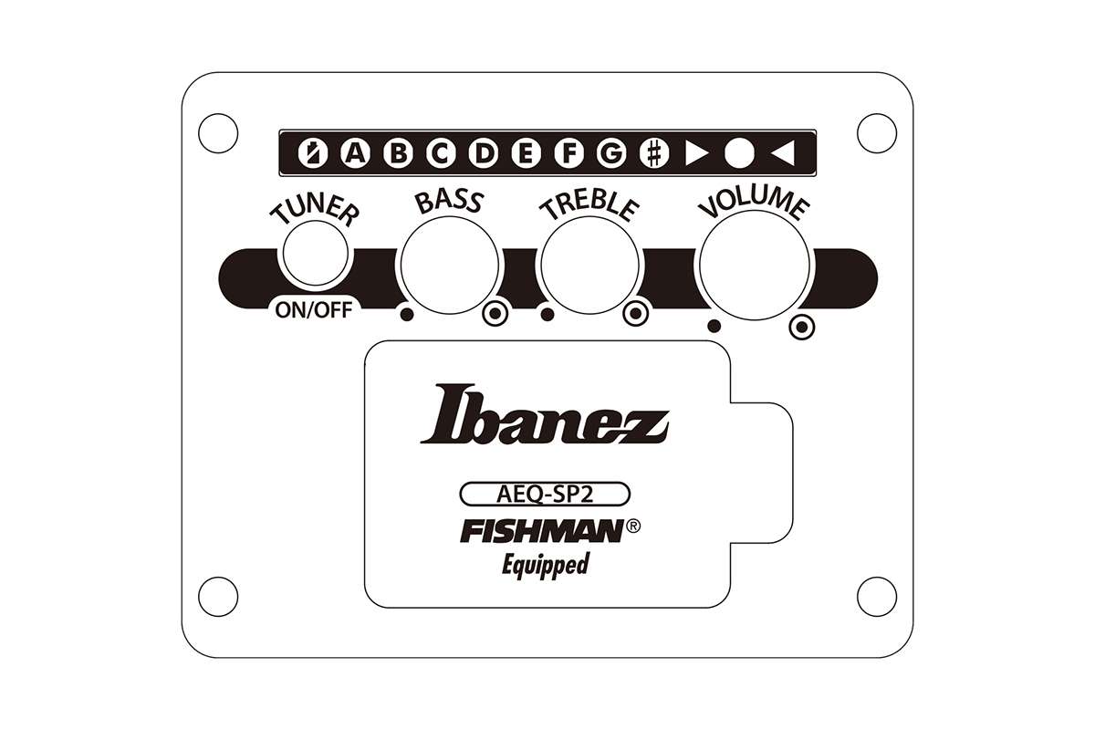 Гітара електроакустична IBANEZ AEWC621 BOT